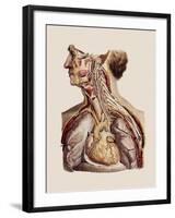 Cranial Nerves-Mehau Kulyk-Framed Photographic Print