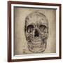 Cranium III-Sidney Paul & Co.-Framed Giclee Print