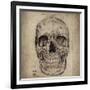 Cranium III-Sidney Paul & Co.-Framed Giclee Print