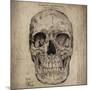 Cranium III-Sidney Paul & Co.-Mounted Giclee Print