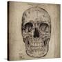 Cranium III-Sidney Paul & Co.-Stretched Canvas