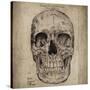 Cranium III-Sidney Paul & Co.-Stretched Canvas