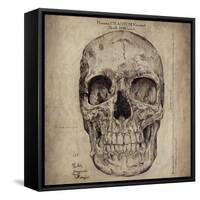 Cranium III-Sidney Paul & Co.-Framed Stretched Canvas