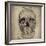 Cranium III-Sidney Paul & Co.-Framed Giclee Print