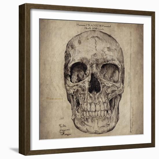 Cranium III-Sidney Paul & Co.-Framed Giclee Print