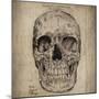 Cranium III-Sidney Paul & Co.-Mounted Giclee Print