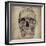 Cranium III-Sidney Paul & Co.-Framed Giclee Print
