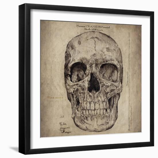 Cranium III-Sidney Paul & Co.-Framed Giclee Print