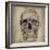 Cranium III-Sidney Paul & Co.-Framed Giclee Print