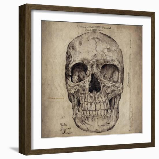 Cranium III-Sidney Paul & Co.-Framed Giclee Print