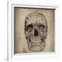 Cranium Illustration-Sidney Paul & Co.-Framed Art Print