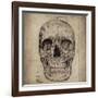 Cranium Illustration-Sidney Paul & Co.-Framed Art Print