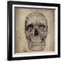 Cranium Illustration-Sidney Paul & Co.-Framed Art Print