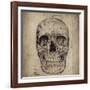 Cranium Illustration-Sidney Paul & Co.-Framed Art Print