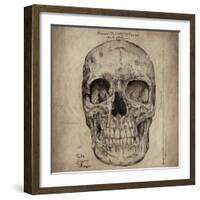 Cranium Illustration-Sidney Paul & Co.-Framed Art Print