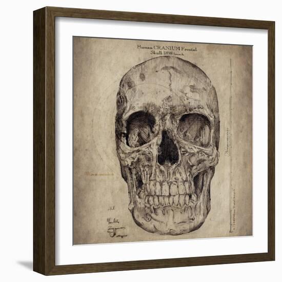 Cranium Illustration-Sidney Paul & Co.-Framed Art Print