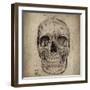 Cranium Illustration-Sidney Paul & Co.-Framed Art Print