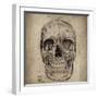 Cranium Illustration-Sidney Paul & Co.-Framed Art Print