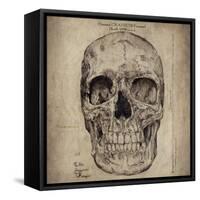 Cranium Illustration-Sidney Paul & Co.-Framed Stretched Canvas