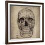 Cranium Illustration-Sidney Paul & Co.-Framed Premium Giclee Print