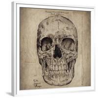 Cranium Illustration-Sidney Paul & Co.-Framed Premium Giclee Print