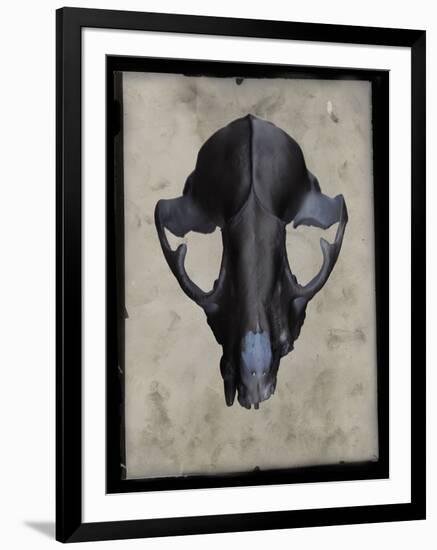 Cranium-Chris Dunker-Framed Giclee Print