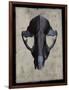 Cranium-Chris Dunker-Framed Giclee Print