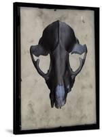 Cranium-Chris Dunker-Stretched Canvas