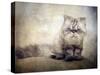 Cranky Cat-Jessica Jenney-Stretched Canvas