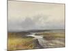 Cranmere Pool, Dartmoor , C.1895-96-Frederick John Widgery-Mounted Giclee Print