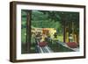 Cranmore Mountain Ski-Mobile in Summertime - North Conway, NH-Lantern Press-Framed Art Print