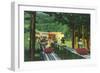 Cranmore Mountain Ski-Mobile in Summertime - North Conway, NH-Lantern Press-Framed Art Print