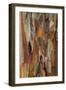 Crape Myrtle Bark I-Kathy Mahan-Framed Photographic Print