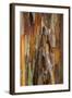 Crape Myrtle Bark II-Kathy Mahan-Framed Photographic Print