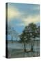 Crape Myrtles I-Jennifer Goldberger-Stretched Canvas