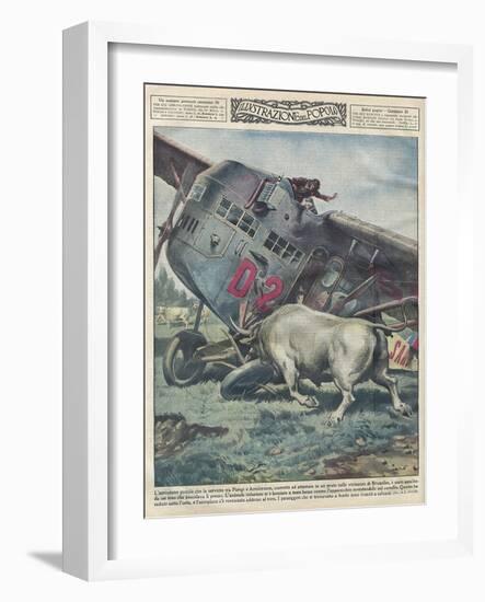 Crash and Bull-Alfredo Ortelli-Framed Art Print