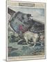 Crash and Bull-Alfredo Ortelli-Mounted Art Print