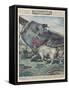 Crash and Bull-Alfredo Ortelli-Framed Stretched Canvas