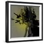 Crash-NaxArt-Framed Art Print