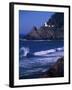 Crashing Waves and Sea Lions, Heceta Head Lighthouse, Oregon, USA-Brent Bergherm-Framed Premium Photographic Print