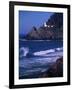 Crashing Waves and Sea Lions, Heceta Head Lighthouse, Oregon, USA-Brent Bergherm-Framed Photographic Print