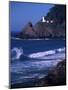 Crashing Waves and Sea Lions, Heceta Head Lighthouse, Oregon, USA-Brent Bergherm-Mounted Premium Photographic Print