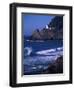 Crashing Waves and Sea Lions, Heceta Head Lighthouse, Oregon, USA-Brent Bergherm-Framed Photographic Print