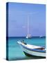 Crasqui, Los Roques, Venezuela, South America-Sergio Pitamitz-Stretched Canvas