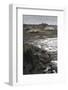 Craster in Winter, Craster, Northumberland, England, United Kingdom, Europe-Eleanor Scriven-Framed Photographic Print