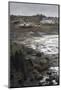 Craster in Winter, Craster, Northumberland, England, United Kingdom, Europe-Eleanor Scriven-Mounted Photographic Print