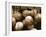 Crate Full of Worn Softballs-Doug Berry-Framed Premium Photographic Print