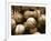 Crate Full of Worn Softballs-Doug Berry-Framed Photographic Print