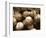 Crate Full of Worn Softballs-Doug Berry-Framed Photographic Print