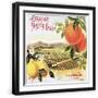 Black Frame
